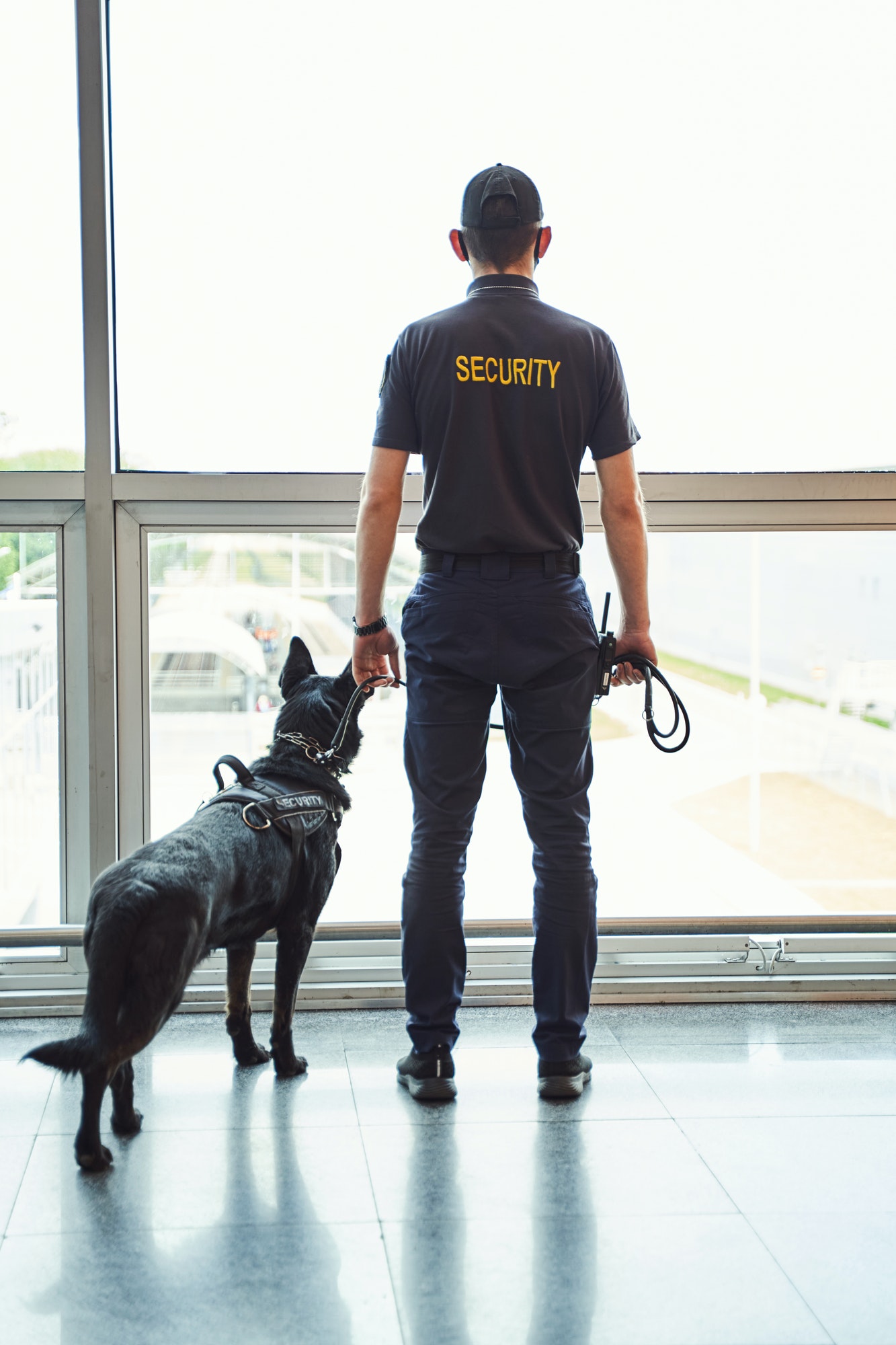security-worker-with-detection-dog-standing-at-airport-terminal